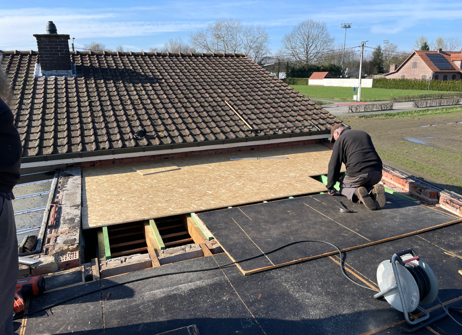 Jos en Sven plaatsen nieuwe OSB-platen tijdens dakrenovatie door NSS-Constructie in Heist-op-den-Berg
